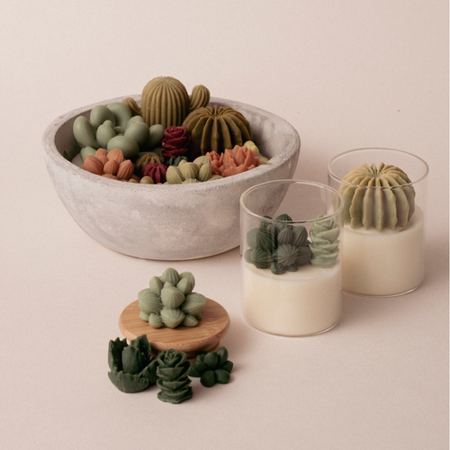 Set de 9 Moldes de Silicona Suculentas para Velas y Resina